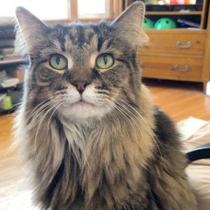 Meet your Posher, Posh